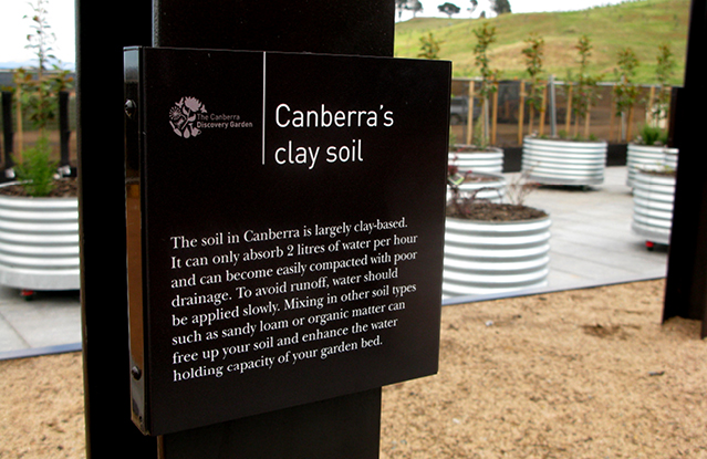 Canberra-Arboretum21.jpg