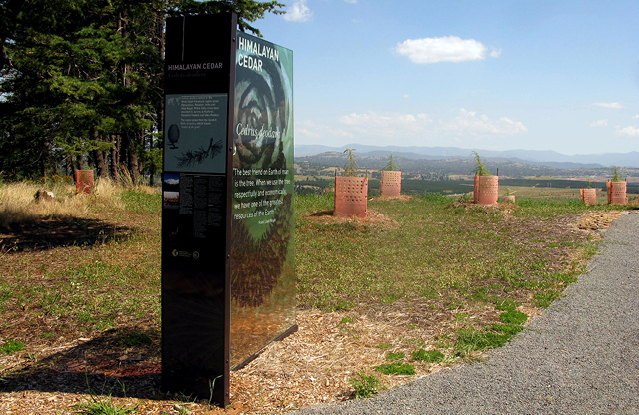 Canberra-Arboretum2_2.jpg